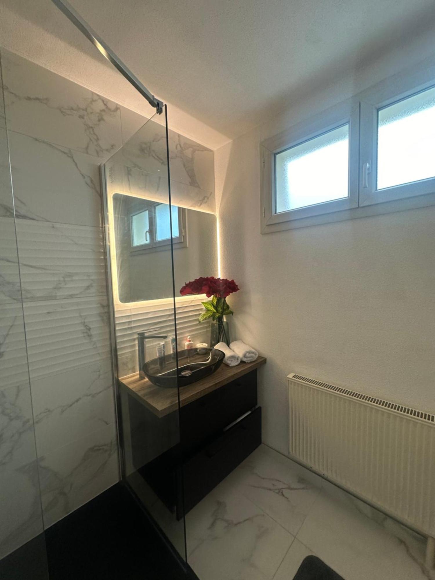 Tres Beau Trois Pieces Avec Vue Degagee Estrasburgo Exterior foto